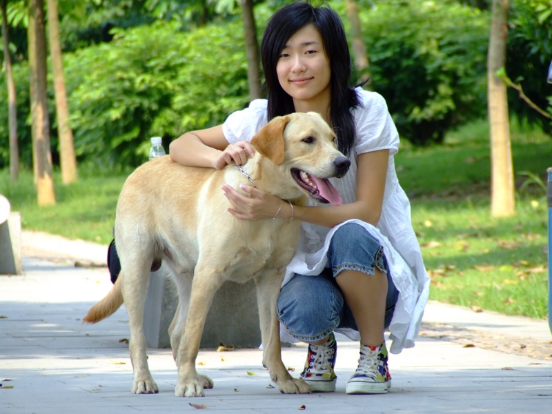 风中的绿叶的第一张照片--上饶相亲服务中心