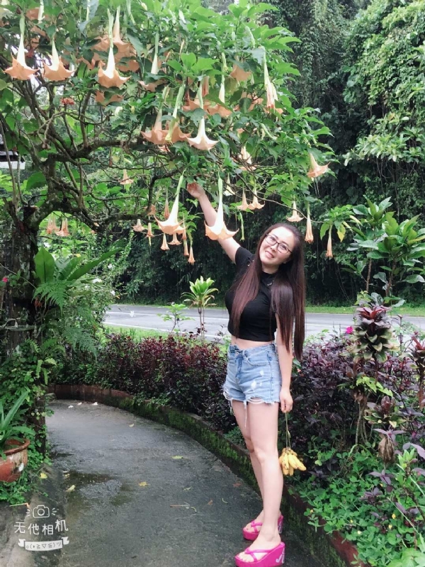 离异单身无子的第二张照片--上饶相亲服务中心