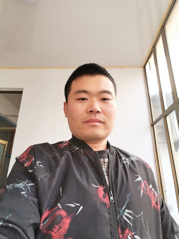 会飞的猪的第一张照片--上饶相亲服务中心