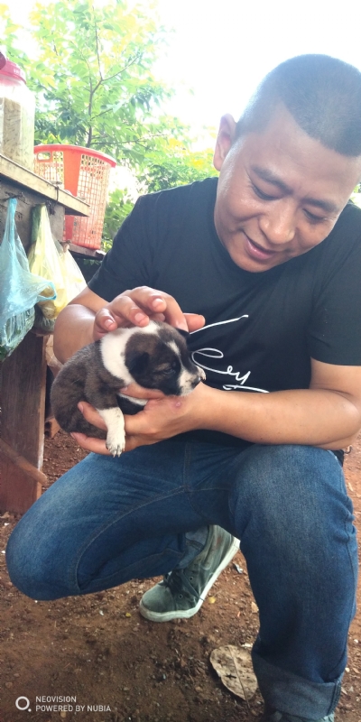 深圳相亲的第一张照片--上饶相亲服务中心