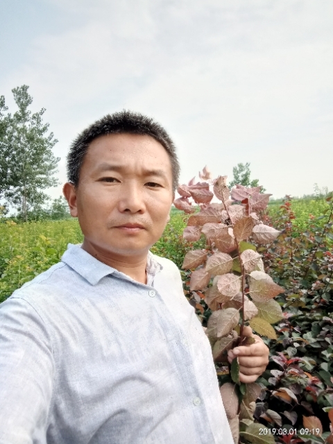 孩子爸的第一张照片--上饶相亲服务中心