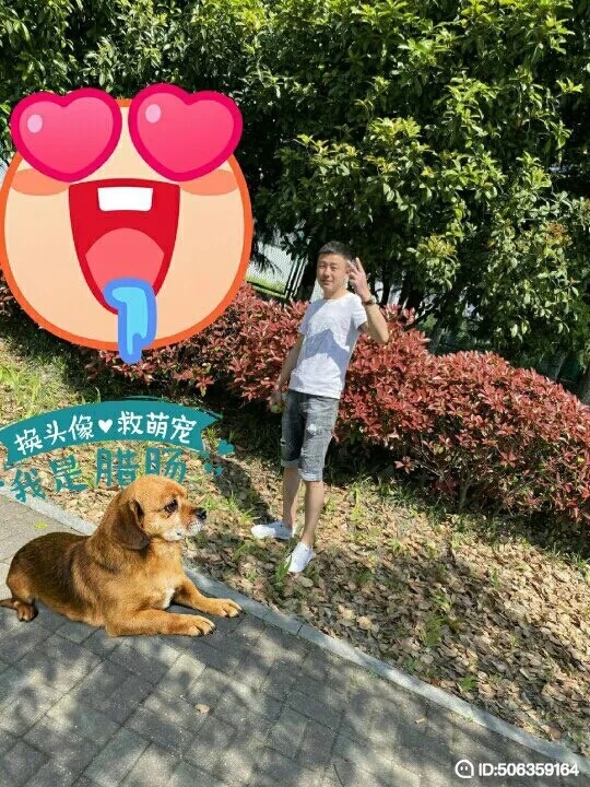 我若不坚强谁替我勇敢的第一张照片--上饶相亲服务中心