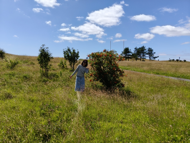 秋蝉的第一张照片--上饶相亲服务中心