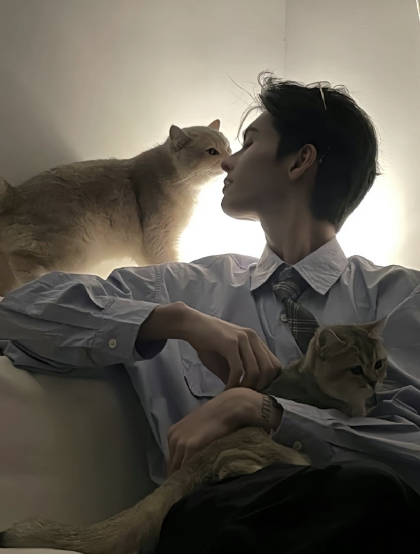 怪猫的第一张照片--上饶相亲服务中心