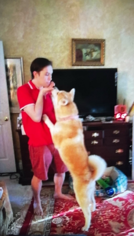 Leluch的第一张照片--上饶相亲服务中心