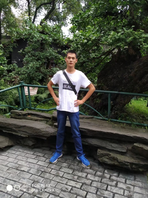 会飞的猪的第一张照片--上饶相亲服务中心