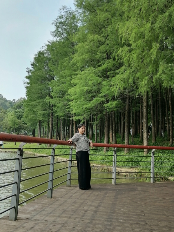 遗失的记忆的第二张照片--上饶相亲服务中心