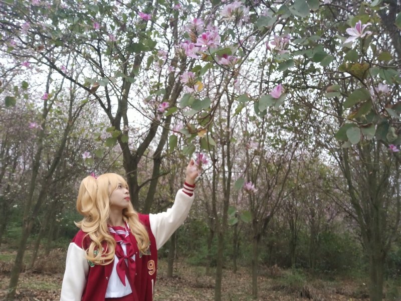 暮秋的第一张照片--上饶相亲服务中心