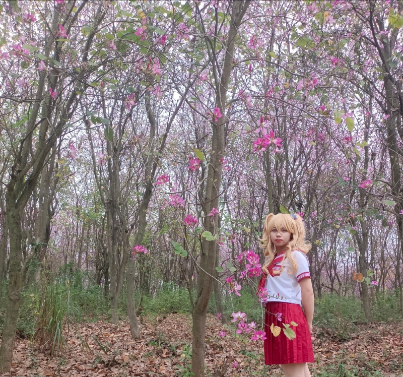 暮秋的第四张照片--上饶相亲服务中心