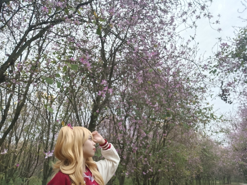 暮秋的第五张照片--上饶相亲服务中心