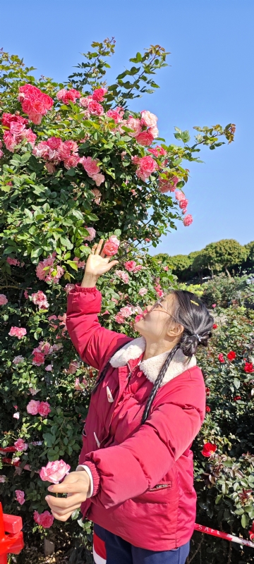 狗狗的第一张照片--上饶相亲服务中心